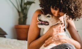 Things your dog actually wants from you